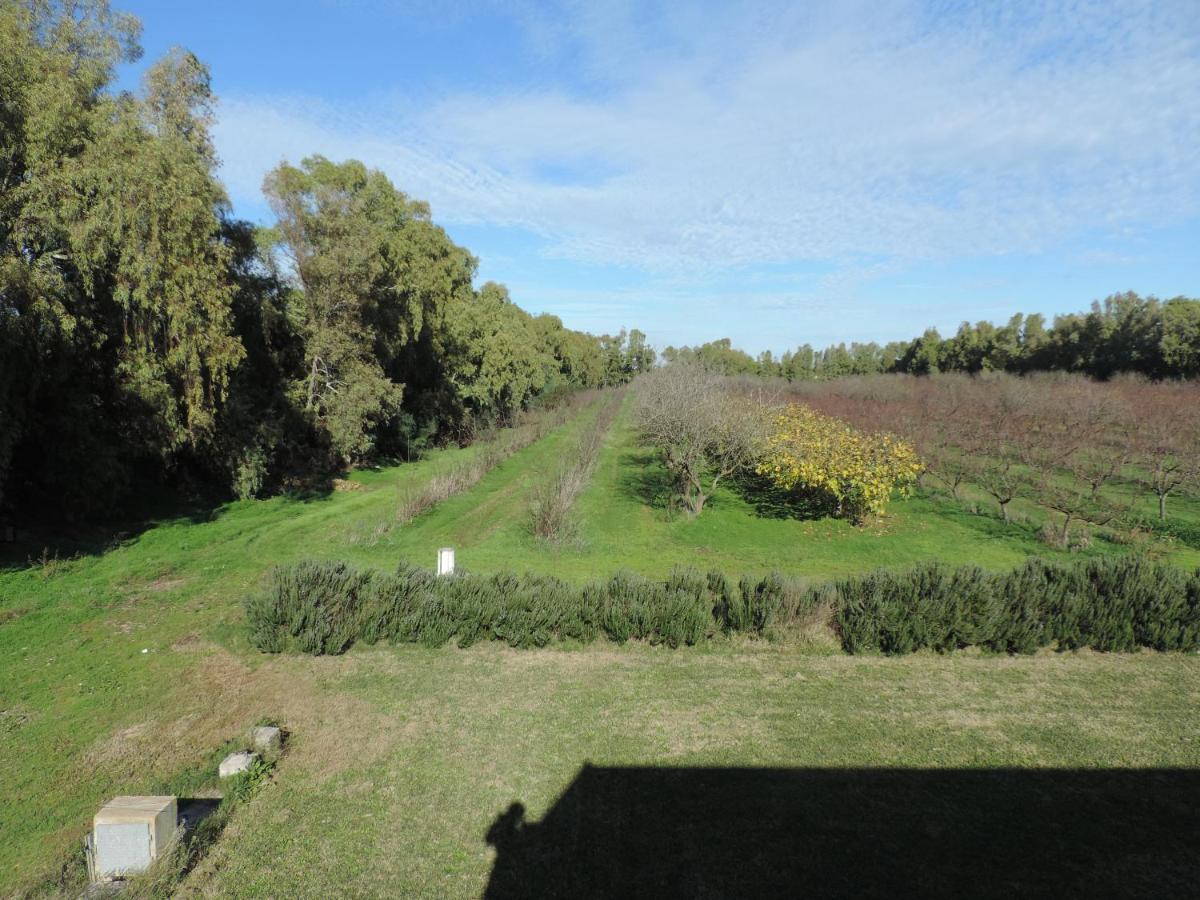 Agriturismo I Doni Del Mandorlo Alghero Ngoại thất bức ảnh